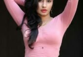 Karnataka call girls services provider