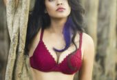 south indian top call girls services in bangalore