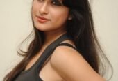 north and south indian girls available in our escort agency