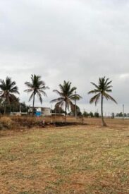 727006479M-1773569084843