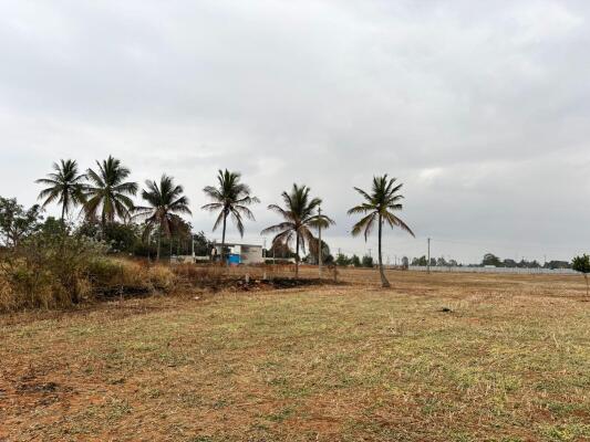 Premium Land for Sale in Bangalore | Best Investment Opportunity
