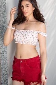 luxury VIP suite escorts Indiranagar