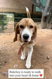 images-1-42